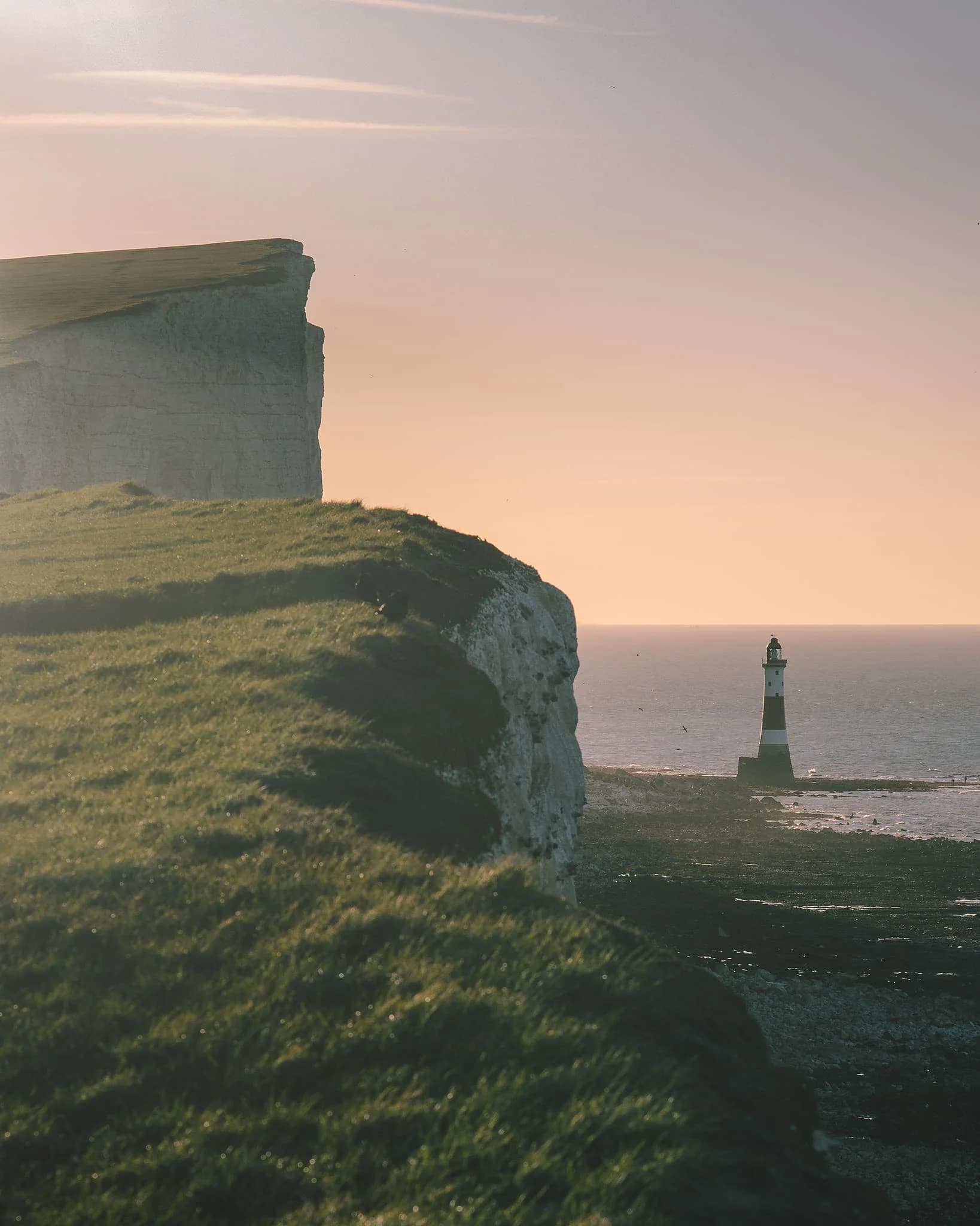 Beachy Head bāka. Saseksa, Anglija