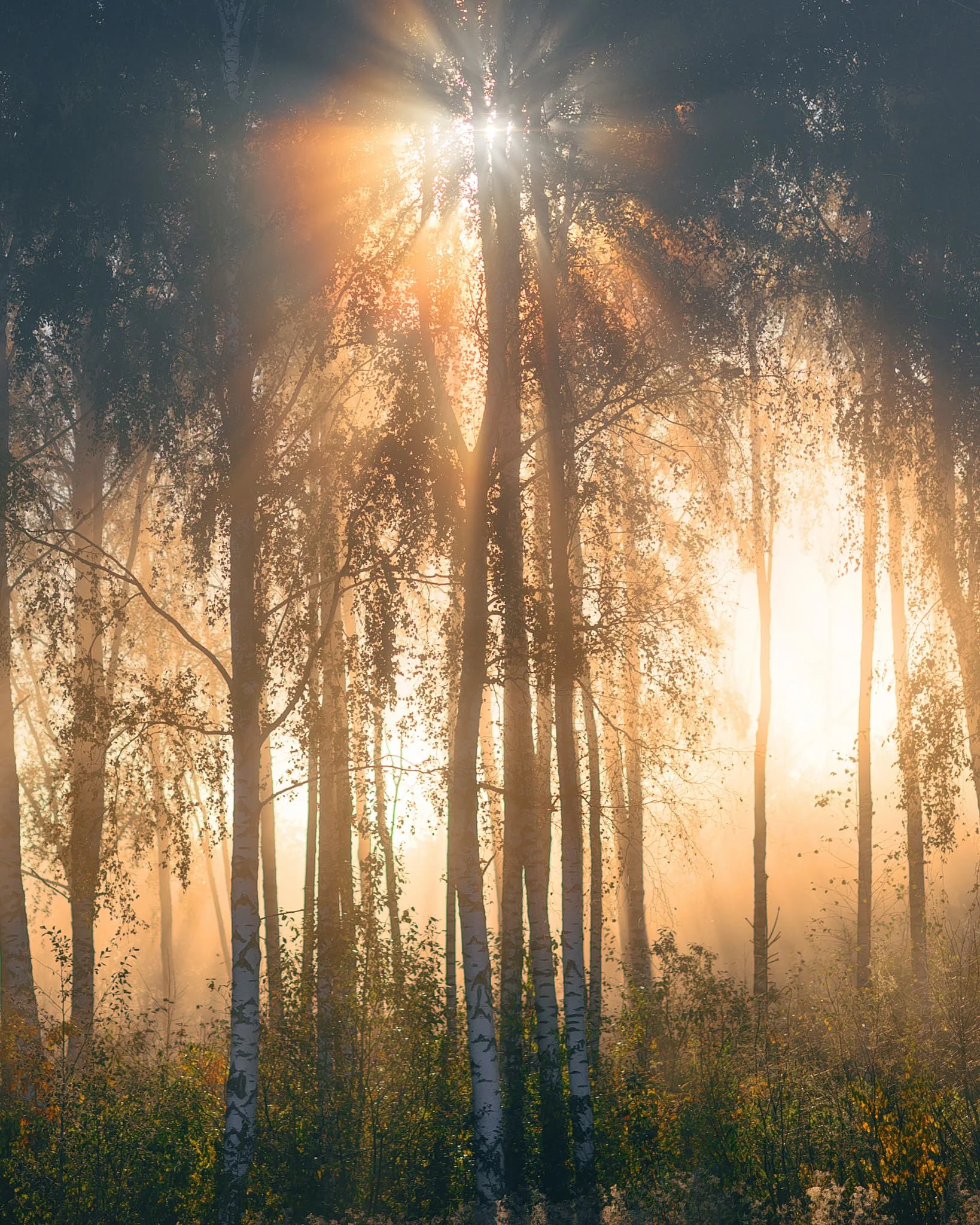 Maģisks rudens rīts Nirzas pusē