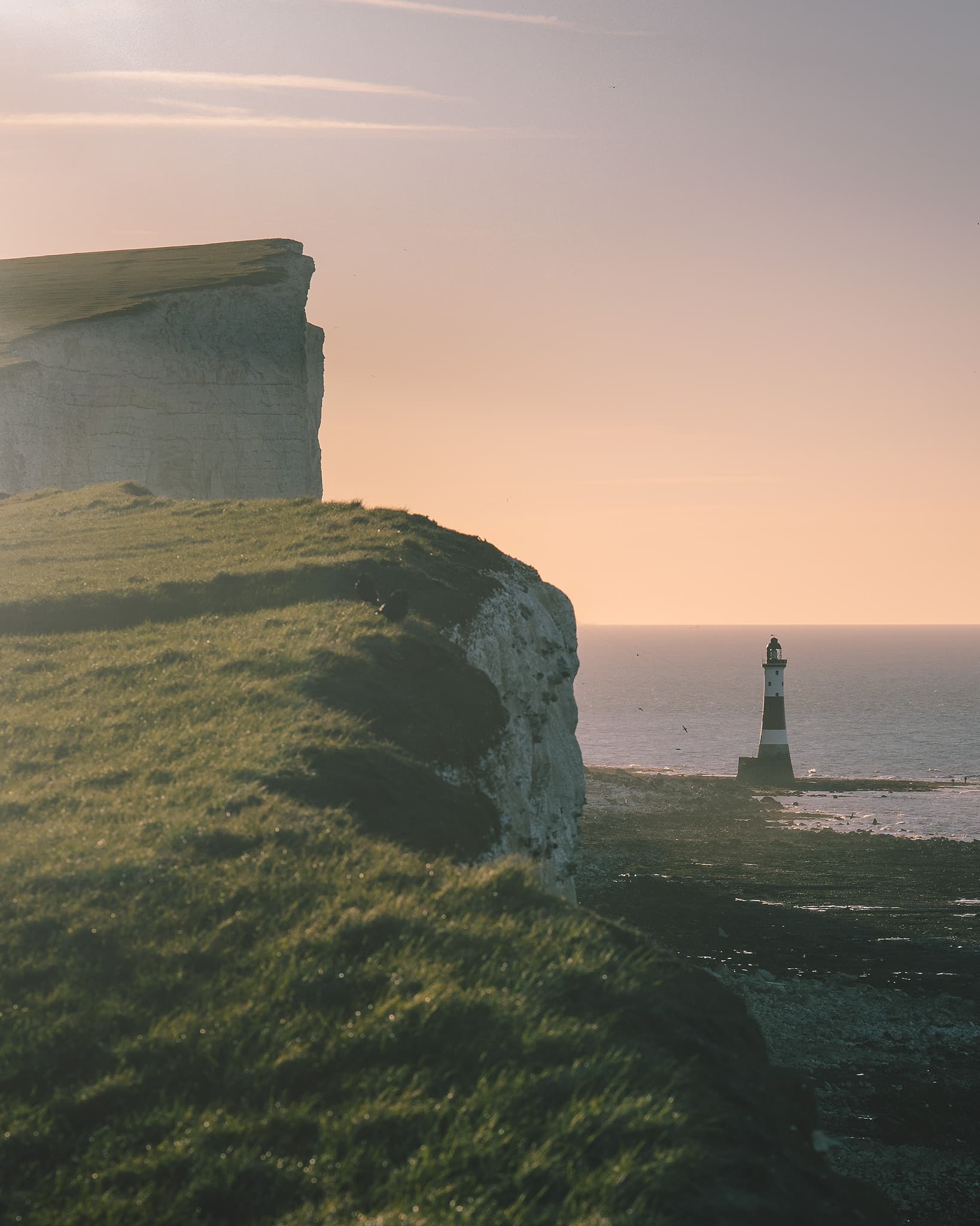 Beachy Head bāka. Saseksa, Anglija