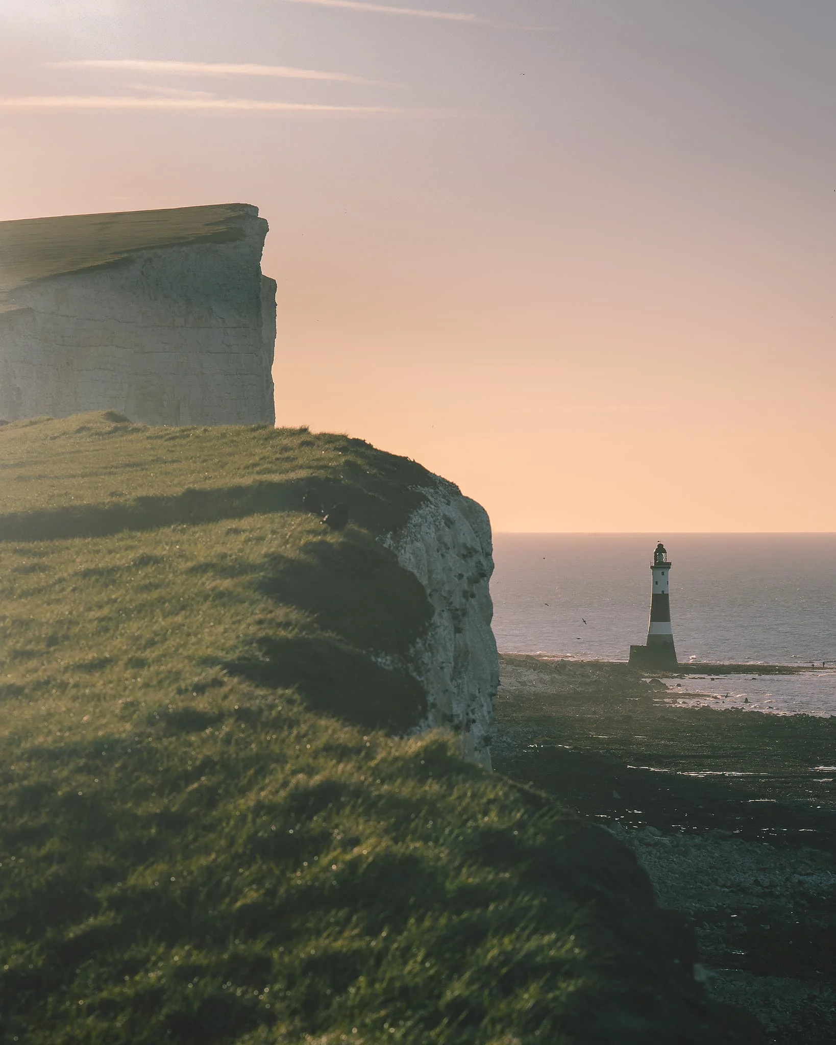 Beachy Head bāka. Saseksa, Anglija