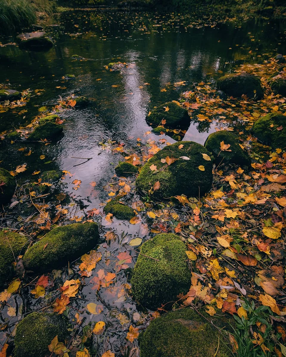 Ludzas upe pie Felicianovas
