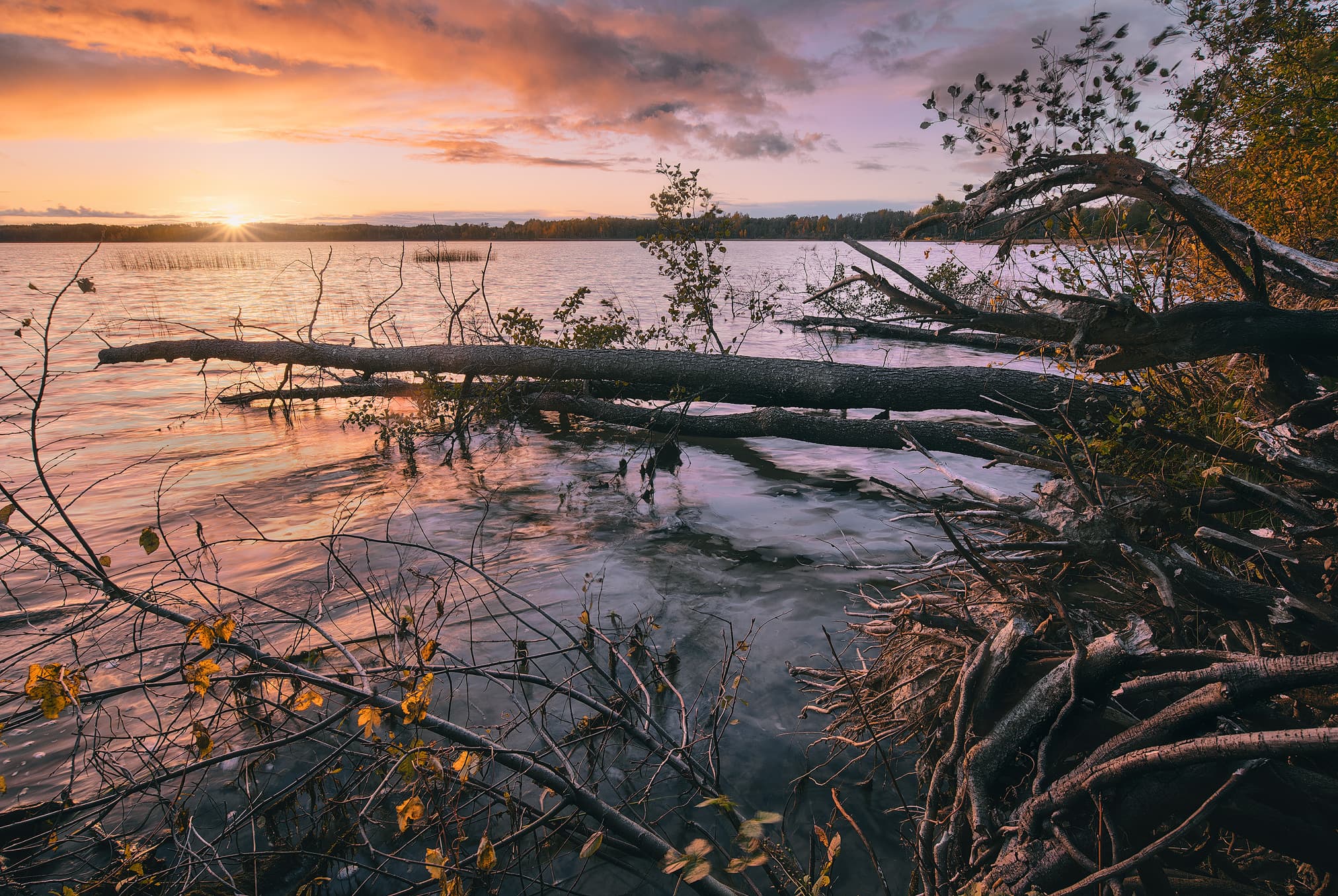 Nirzas ezera saulriets oktobrī