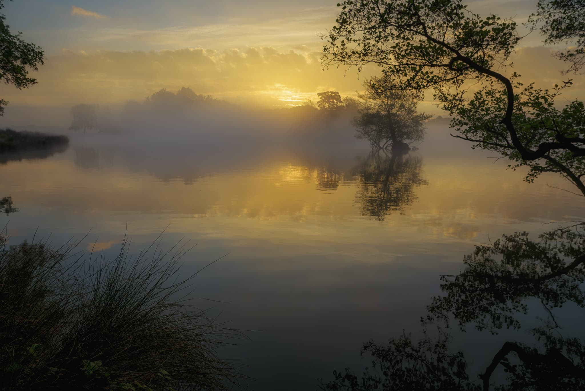 Pen Ponds. Londona, Anglija