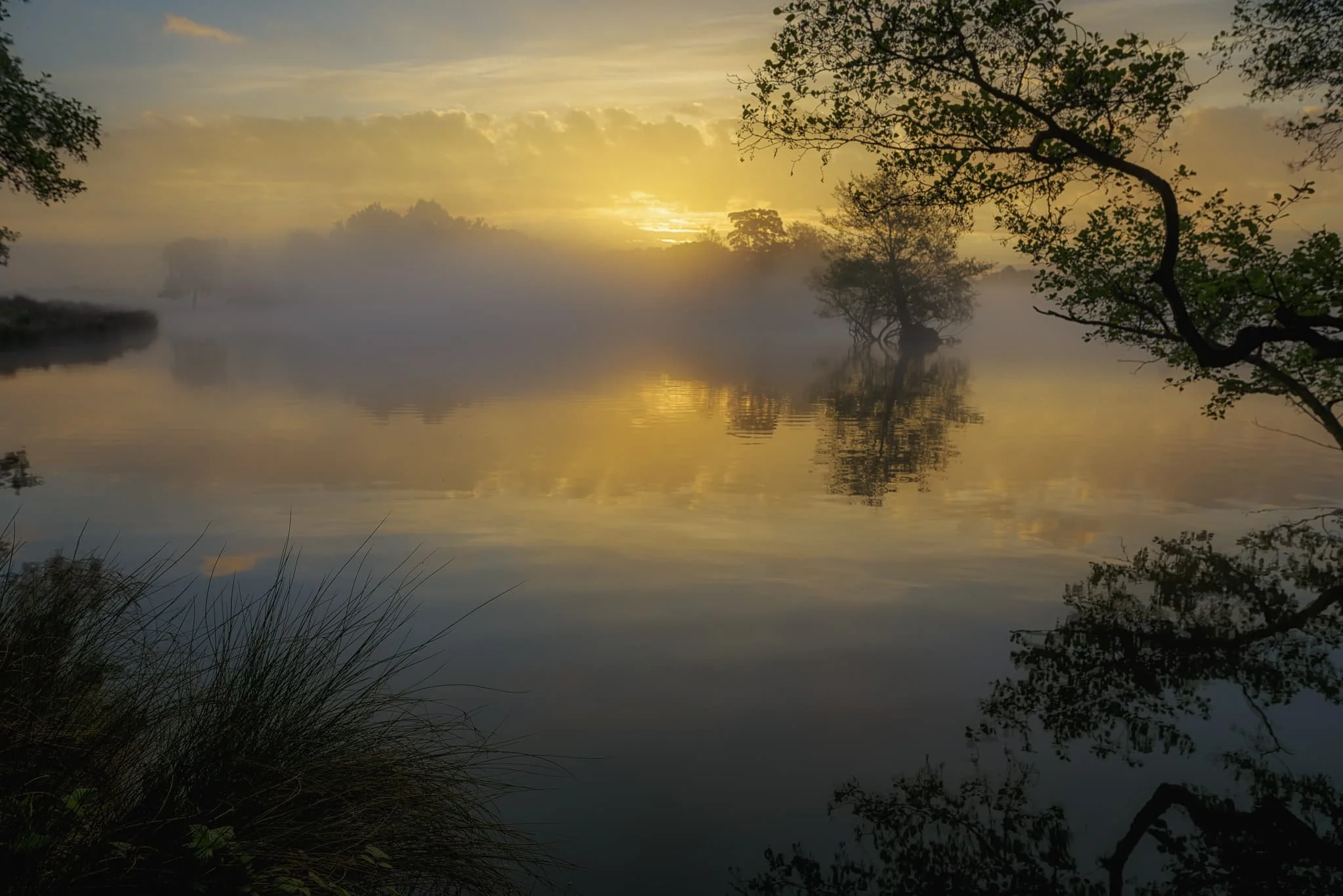 Pen Ponds. Londona, Anglija