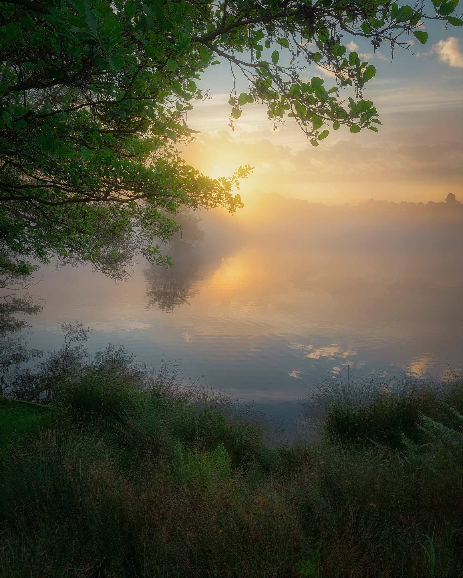 Pen Ponds. Londona, Anglija