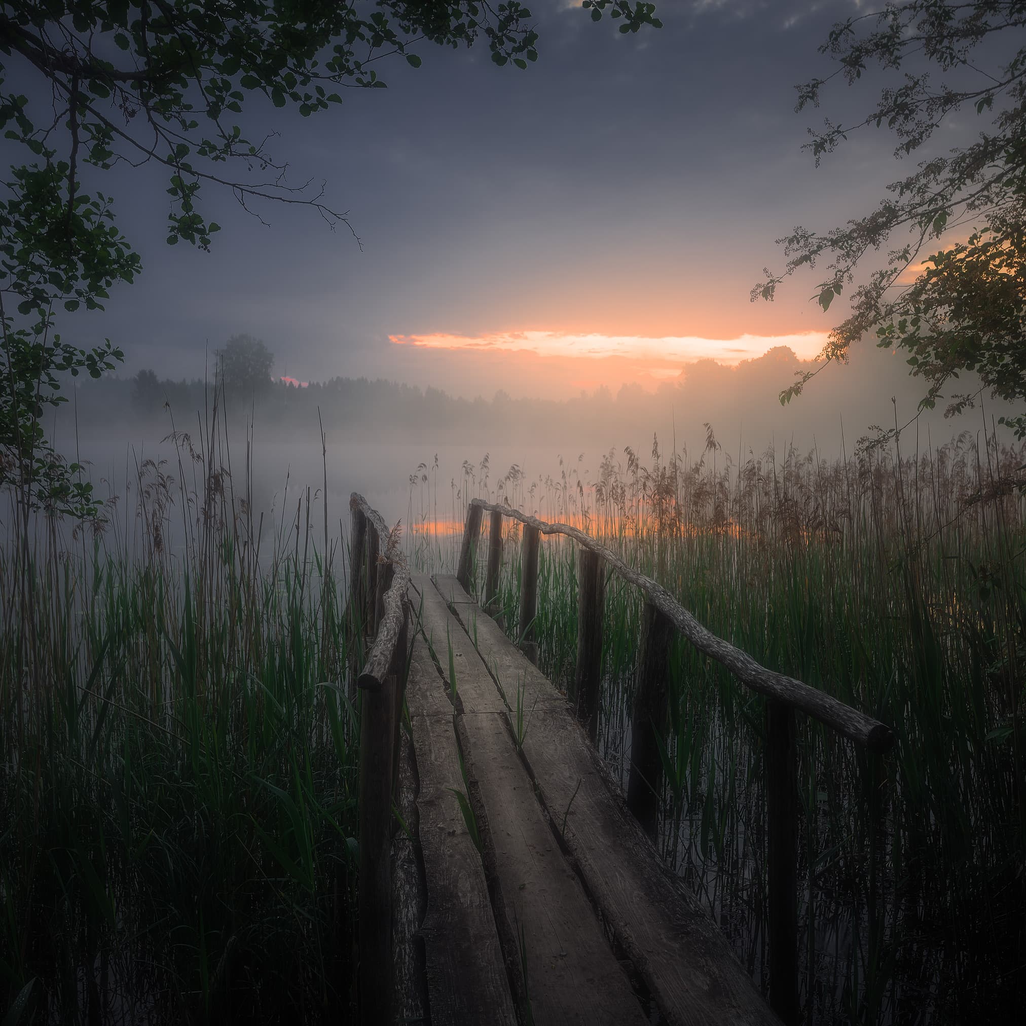Rīts pie Pakalnu ezera. Rundēni, Ludzas novads