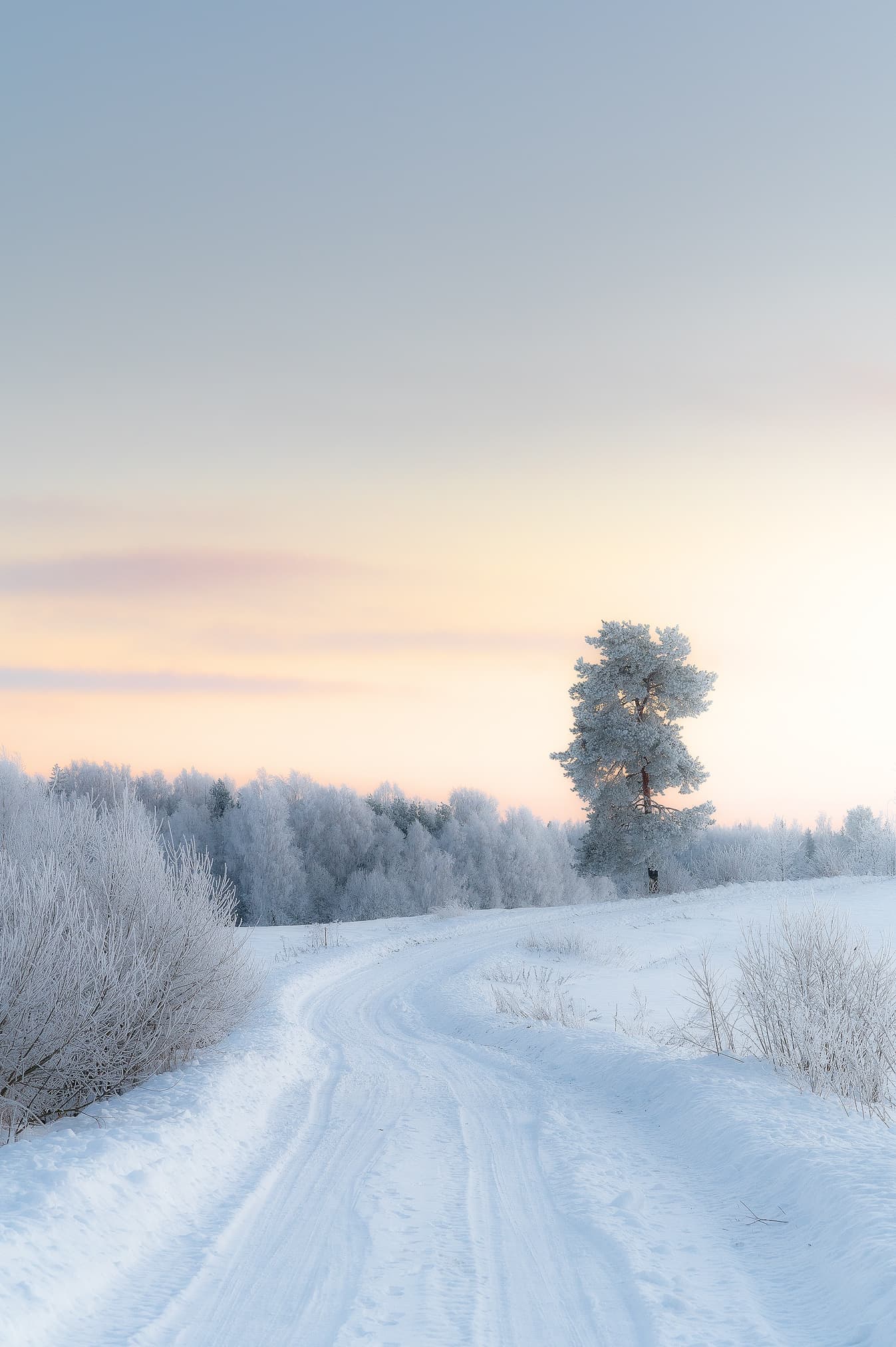 Ziemas ainava. Rēzeknes novads