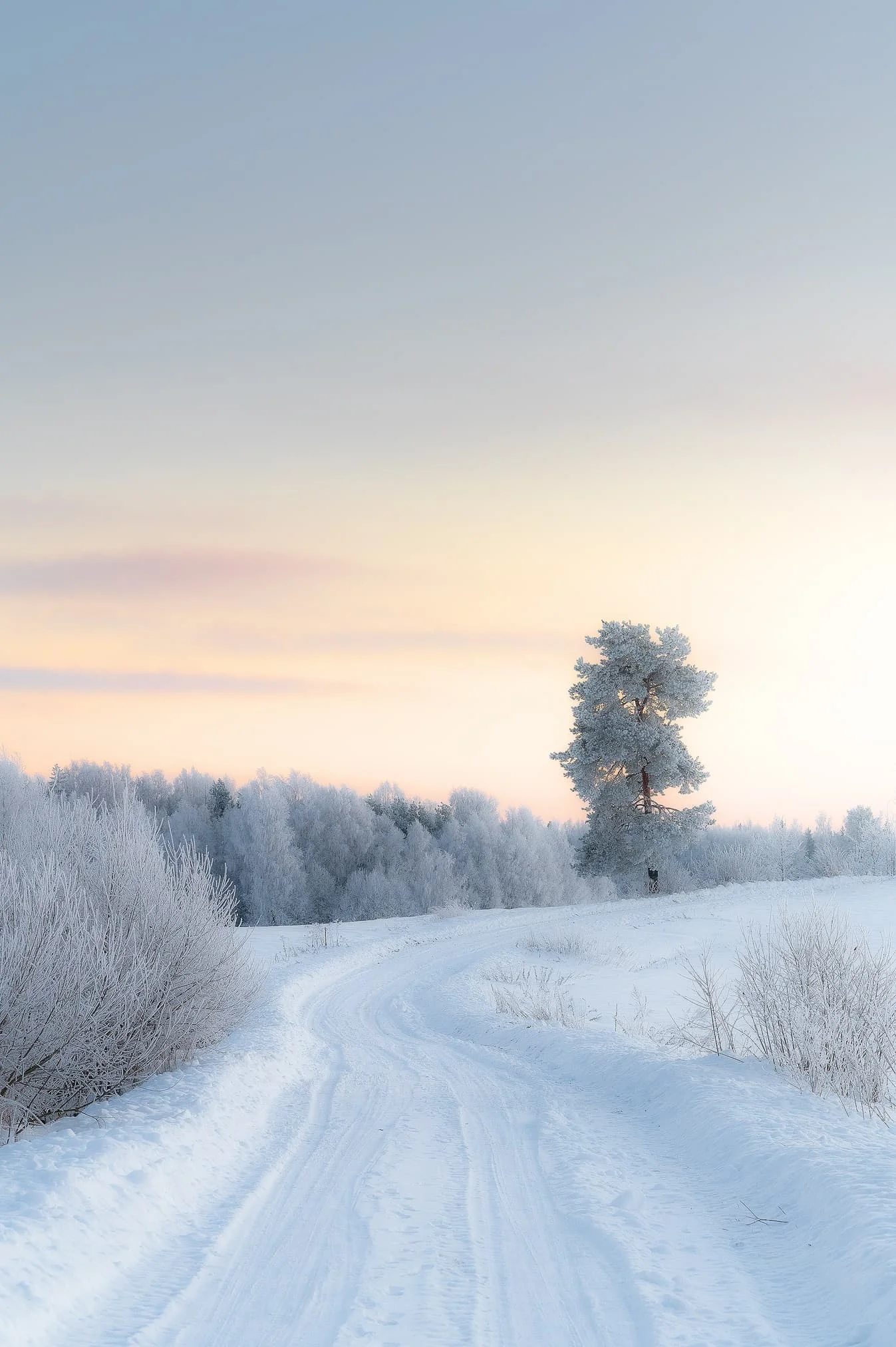 Ziemas ainava. Rēzeknes novads